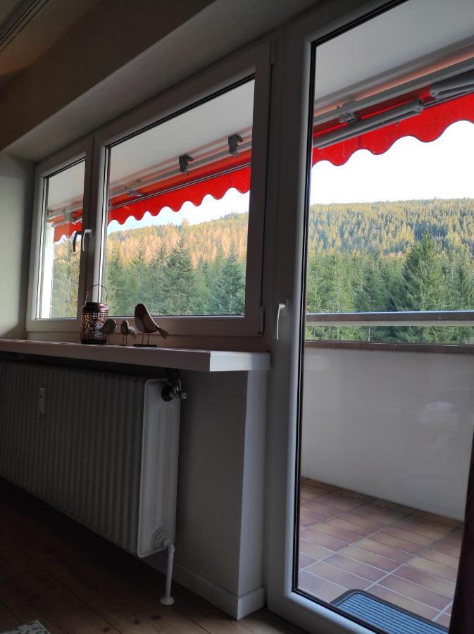 Ferienwohnung Vogelnest Im Schwarzwald Baiersbronn Zewnętrze zdjęcie