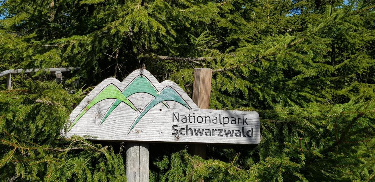 Ferienwohnung Vogelnest Im Schwarzwald Baiersbronn Zewnętrze zdjęcie