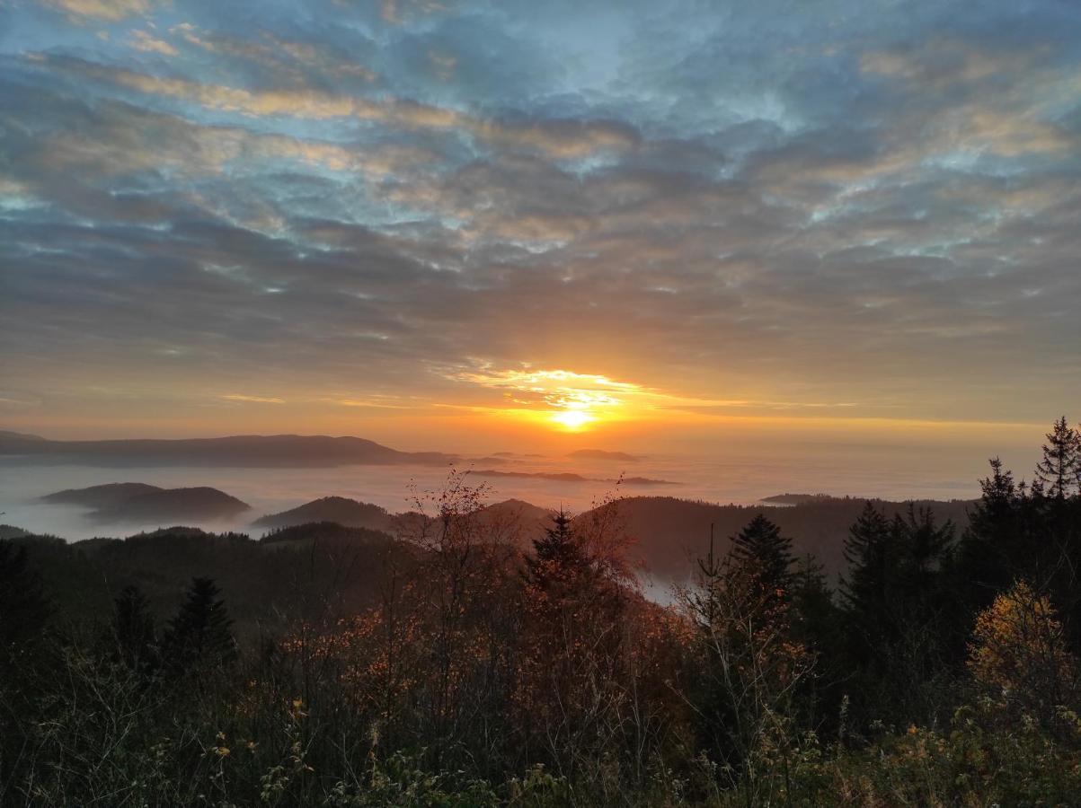 Ferienwohnung Vogelnest Im Schwarzwald Baiersbronn Zewnętrze zdjęcie