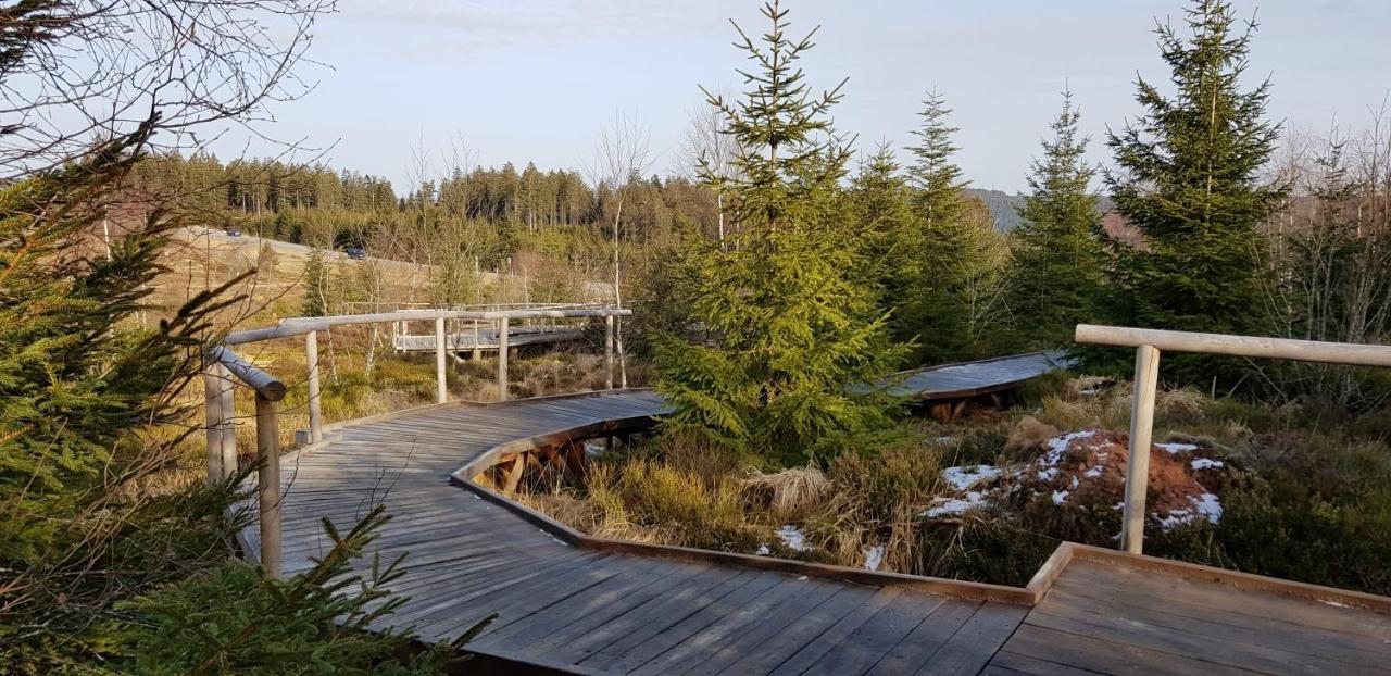 Ferienwohnung Vogelnest Im Schwarzwald Baiersbronn Zewnętrze zdjęcie