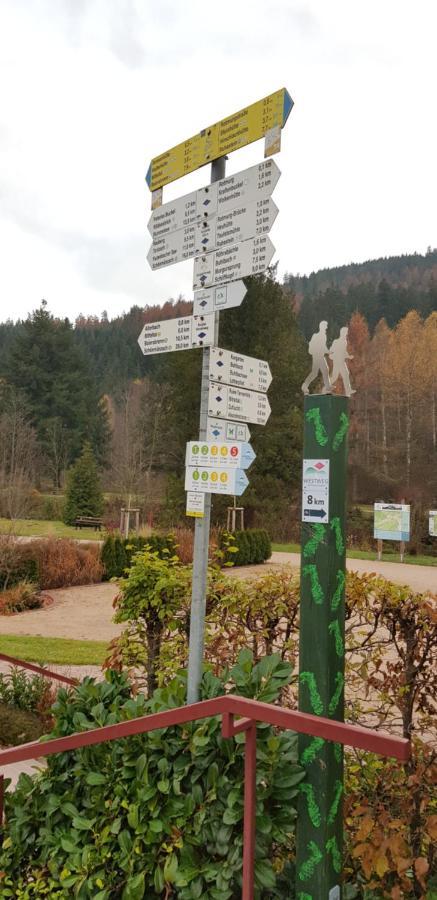 Ferienwohnung Vogelnest Im Schwarzwald Baiersbronn Zewnętrze zdjęcie