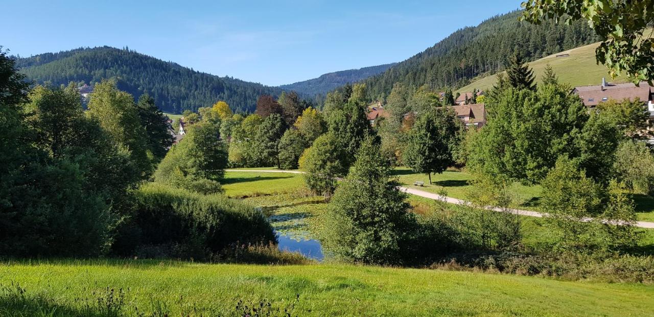 Ferienwohnung Vogelnest Im Schwarzwald Baiersbronn Zewnętrze zdjęcie