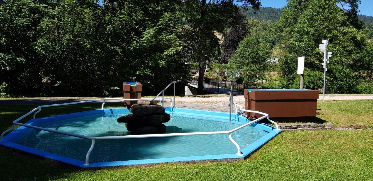 Ferienwohnung Vogelnest Im Schwarzwald Baiersbronn Zewnętrze zdjęcie