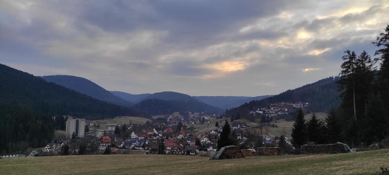 Ferienwohnung Vogelnest Im Schwarzwald Baiersbronn Zewnętrze zdjęcie