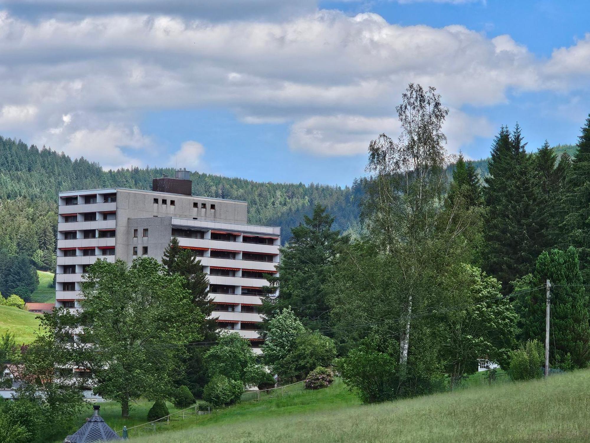 Ferienwohnung Vogelnest Im Schwarzwald Baiersbronn Zewnętrze zdjęcie