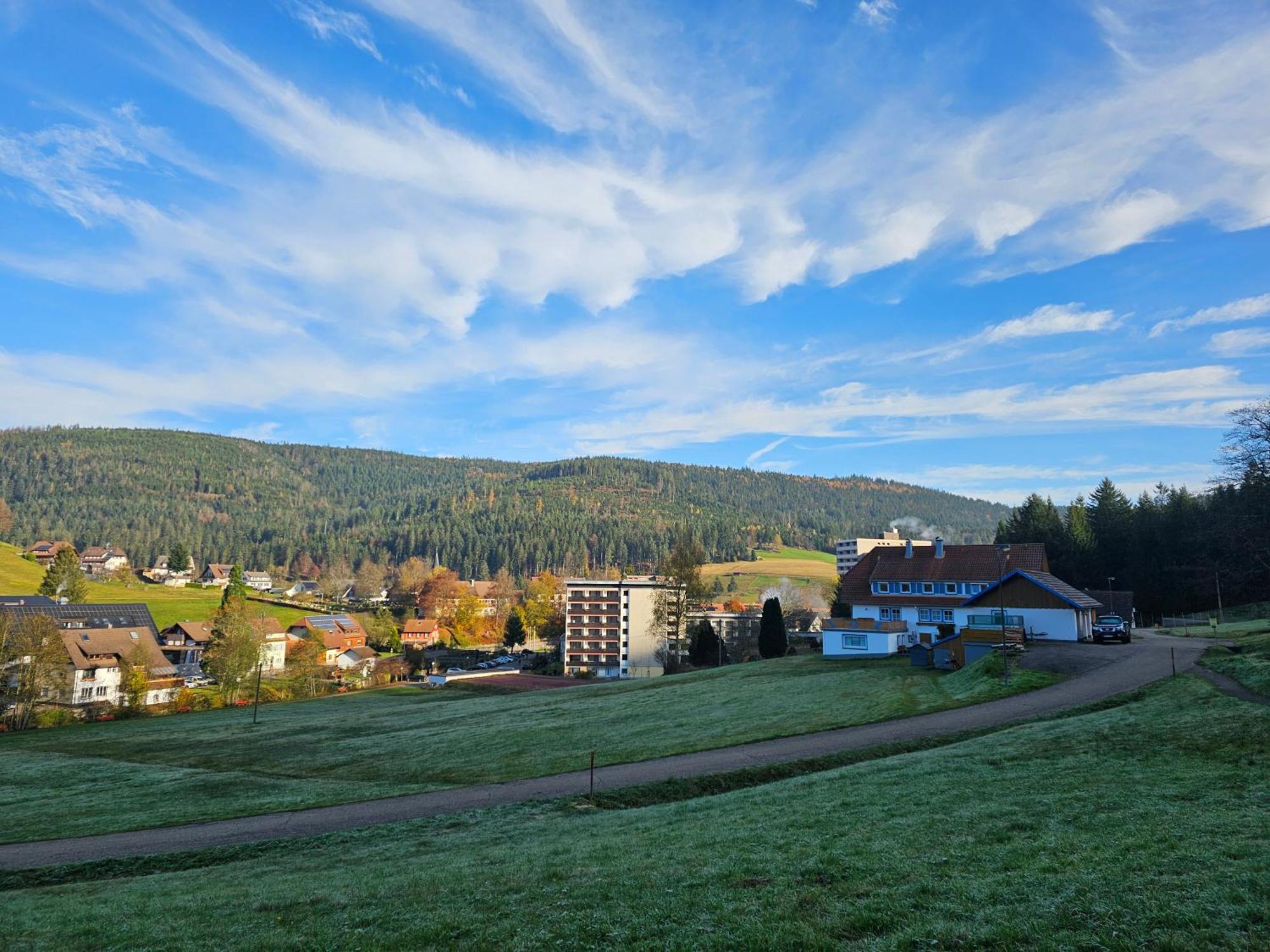 Ferienwohnung Vogelnest Im Schwarzwald Baiersbronn Zewnętrze zdjęcie